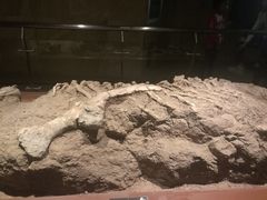 -世界恐龙谷景区