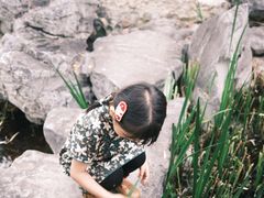 -济南国际园博园