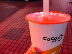 -CoCo都可(大华二店)