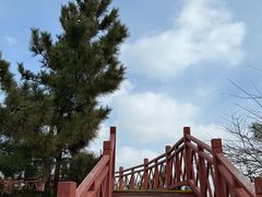 -养马岛旅游度假区