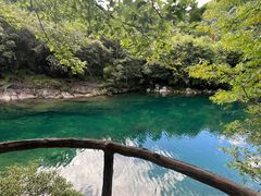 -石台牯牛降景区