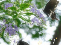 -广州国际生物岛