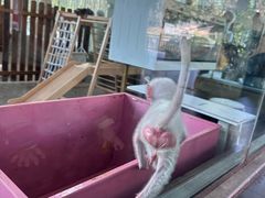 -宁波野生动物园