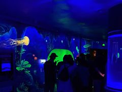 -芜湖新华联大白鲸海洋公园