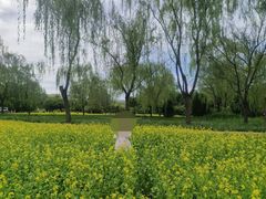 -北坞公园