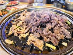-杨小佳·齐齐哈尔烤肉·烤串(广州店)
