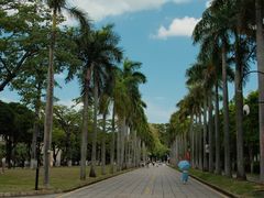 -厦门大学(思明校区)
