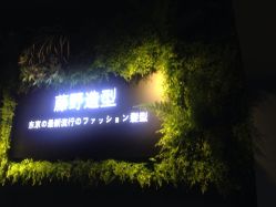 点击看大图 -藤野造型