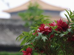 -北京市劳动人民文化宫(太庙)