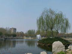 -大港湿地公园