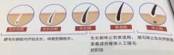 -一本X目奈子日式单根美睫专业店