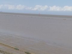 -崖口红树林海鲜餐厅