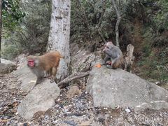 -姑婆山旅游区
