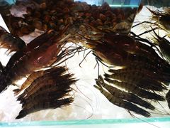 -Ministry of Crab(科伦坡店)