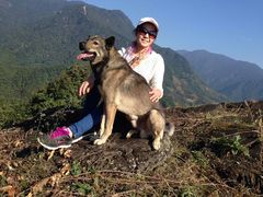 我在这里-杭州天目山静雅居农家乐