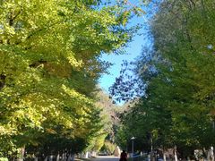 -长白岛森林公园