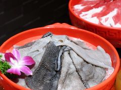 -大龙燚·旷野鲜火锅(广州首店)