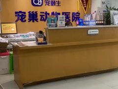 -宠颐生宠物医院·心肾内科·猫专科诊疗中心宠巢店