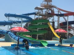 -秦皇岛乐岛海洋王国