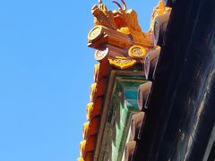 -颐和园