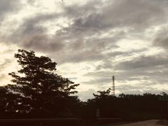 -台山第一家兴华黄鳝饭·黄鳝婆(开平店)