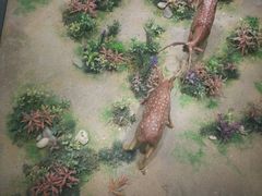 -北京麋鹿生态实验中心