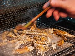 -雪熊精酿·哈尔滨烧烤酒馆(非遗大串店)