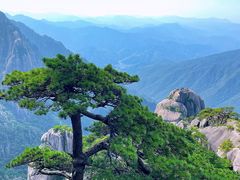 -黄山风景区