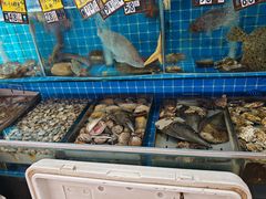 -康平锅贴馆时令海鲜(大润发店)