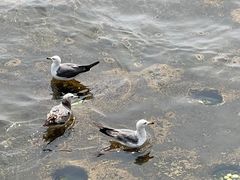 -星海广场