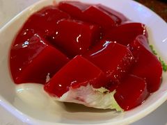 鲜鸭血-晓宇重庆火锅(赛格国际购物中心店)