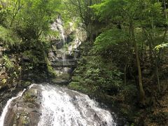 -藏龙百瀑风景区