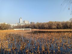 -长春市南湖公园