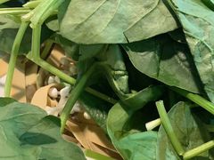 -每食每刻·皖北新民地锅鸡