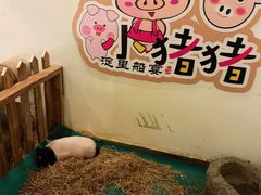 -淀里船宴(裕华东路店)