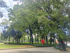 -共和国摇篮旅游区-红井景区