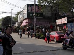 -金陵花卉交易市场