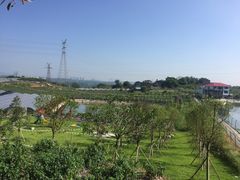 -向葡萄庄园