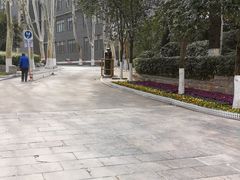 -西安市长乐公园