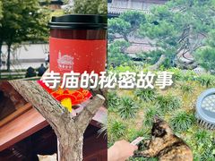 -龙华寺