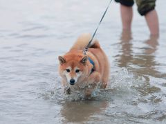 -东海半边山旅游度假区