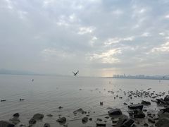 -深圳湾公园(南山区)