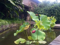 -三嚥阁 La Villa Restaurant
