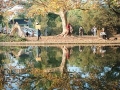 -上海共青森林公园