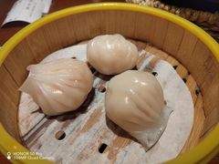 -南拳十三姨·潮汕砂锅粥(世纪金源店)