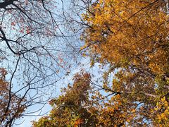 -终南山南五台景区