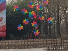 -第五季龙水凤港生态露营农场