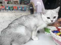 -心语宠物医院·急重症转诊中心·瑞辰华诺(南青路店)
