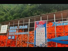 -雅鲁激流探险漂流