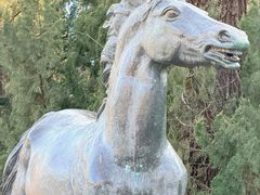 -元大都城垣遗址公园